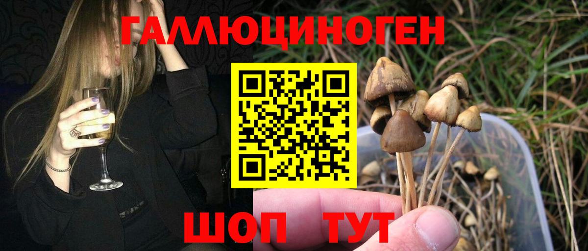 где купить   Псилоцибиновые грибы Psilocybe  Вход с VPN  Нововоронеж 