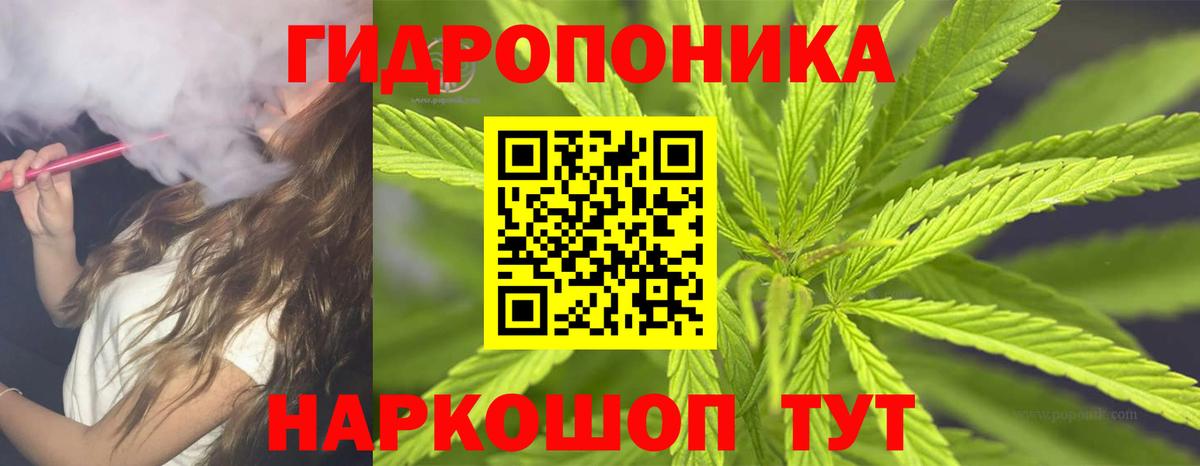 Шишки марихуана ГИДРОПОН  Конопля THC 21%  Бошки марихуана ГИДРОПОН  Вход с VPN  Бошки марихуана ГИДРОПОН  Нововоронеж 